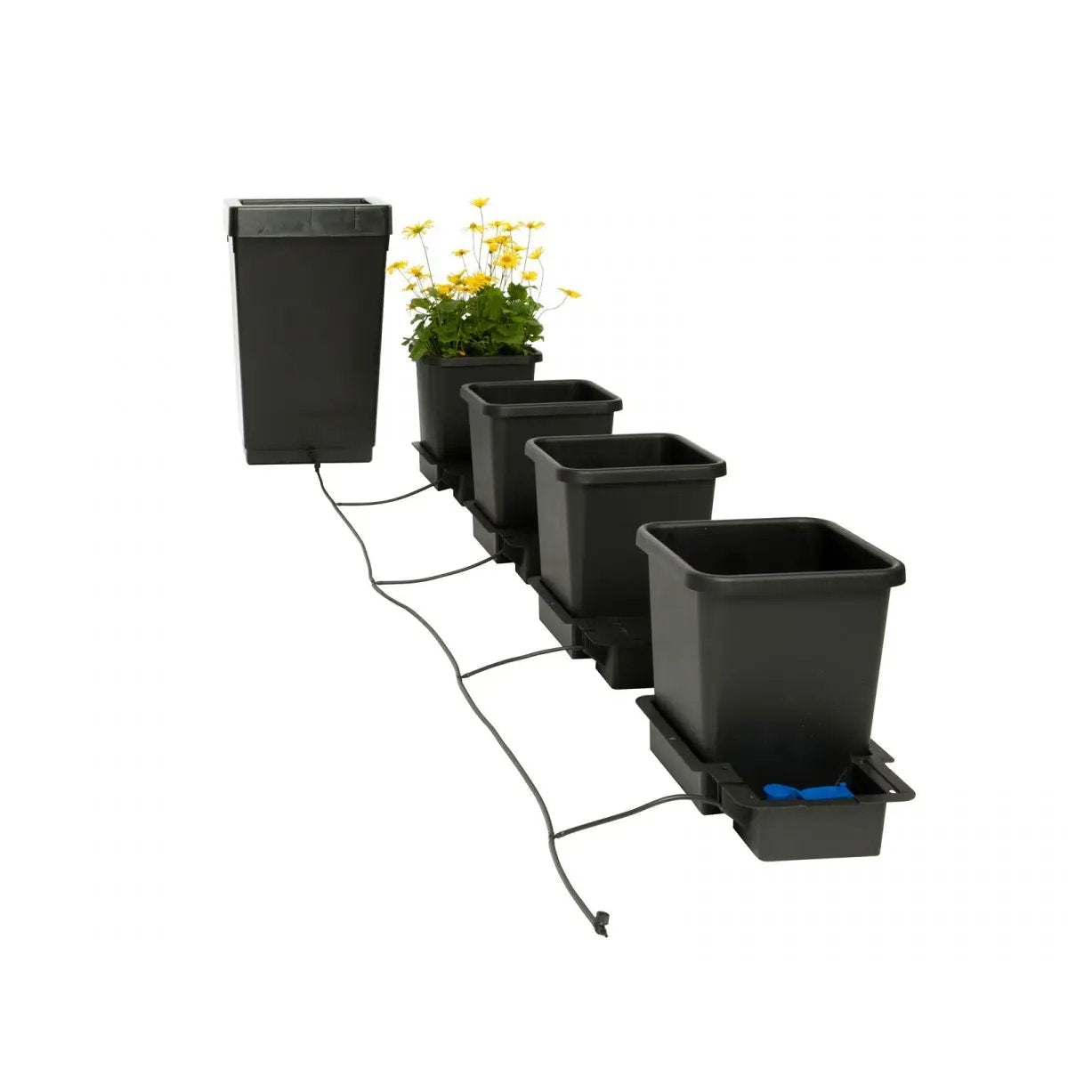 Système de culture hydroponique Autopot 4 pots
