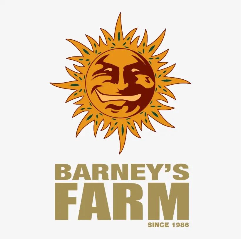 Barney's Farm Sementes Feminizadas 3 sementes