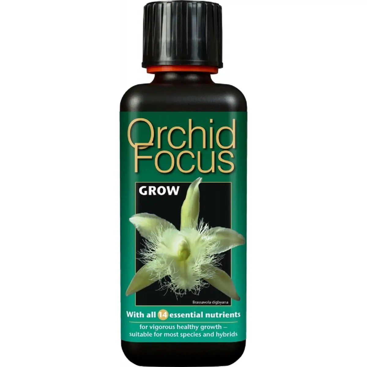 Engrais pour Orchidées Growth Technology Orchid Focus 300ml