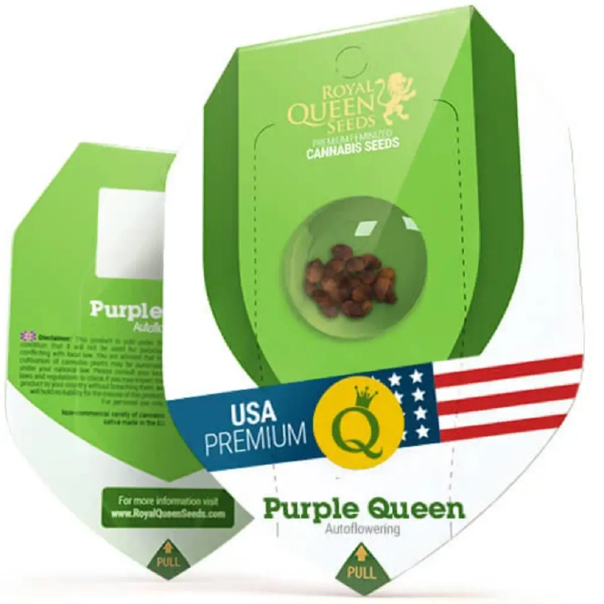Les graines de Purple Queen automatique de RQS