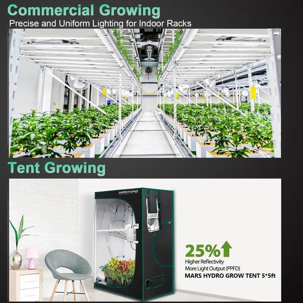 Lampe de culture Mars Hydro FC-E6500 Smart Grow System 730W