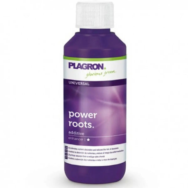 Plagron Power roots 100ml