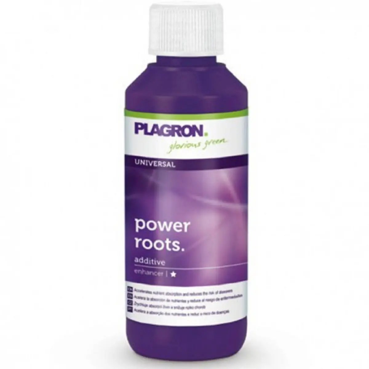 Plagron Power roots 100ml