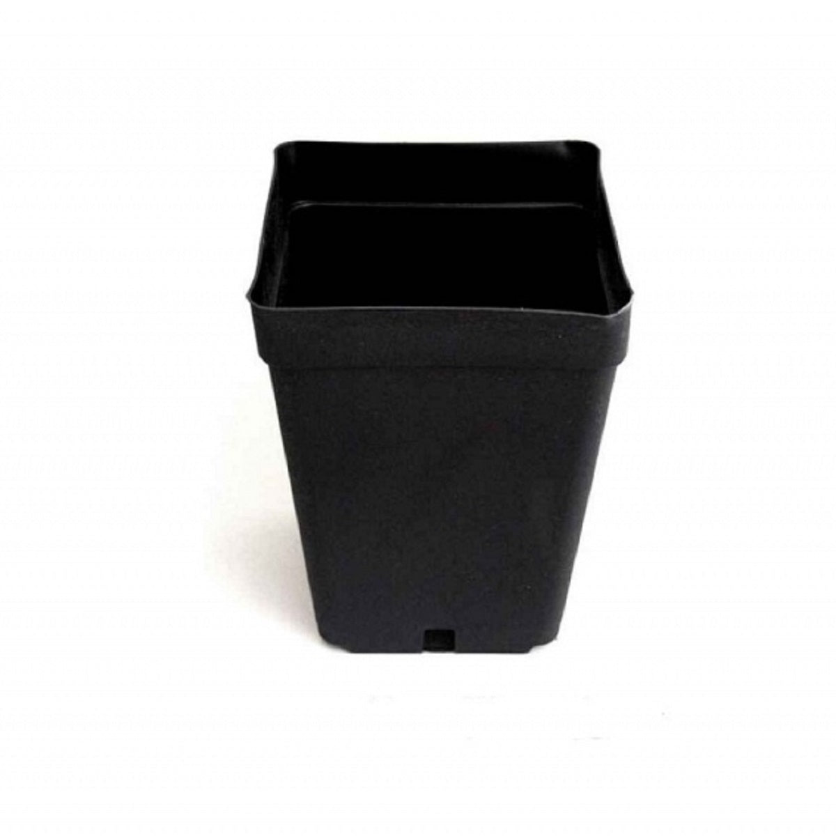 Pot carré en plastique noir de 1,65 litres pour boutures et semis