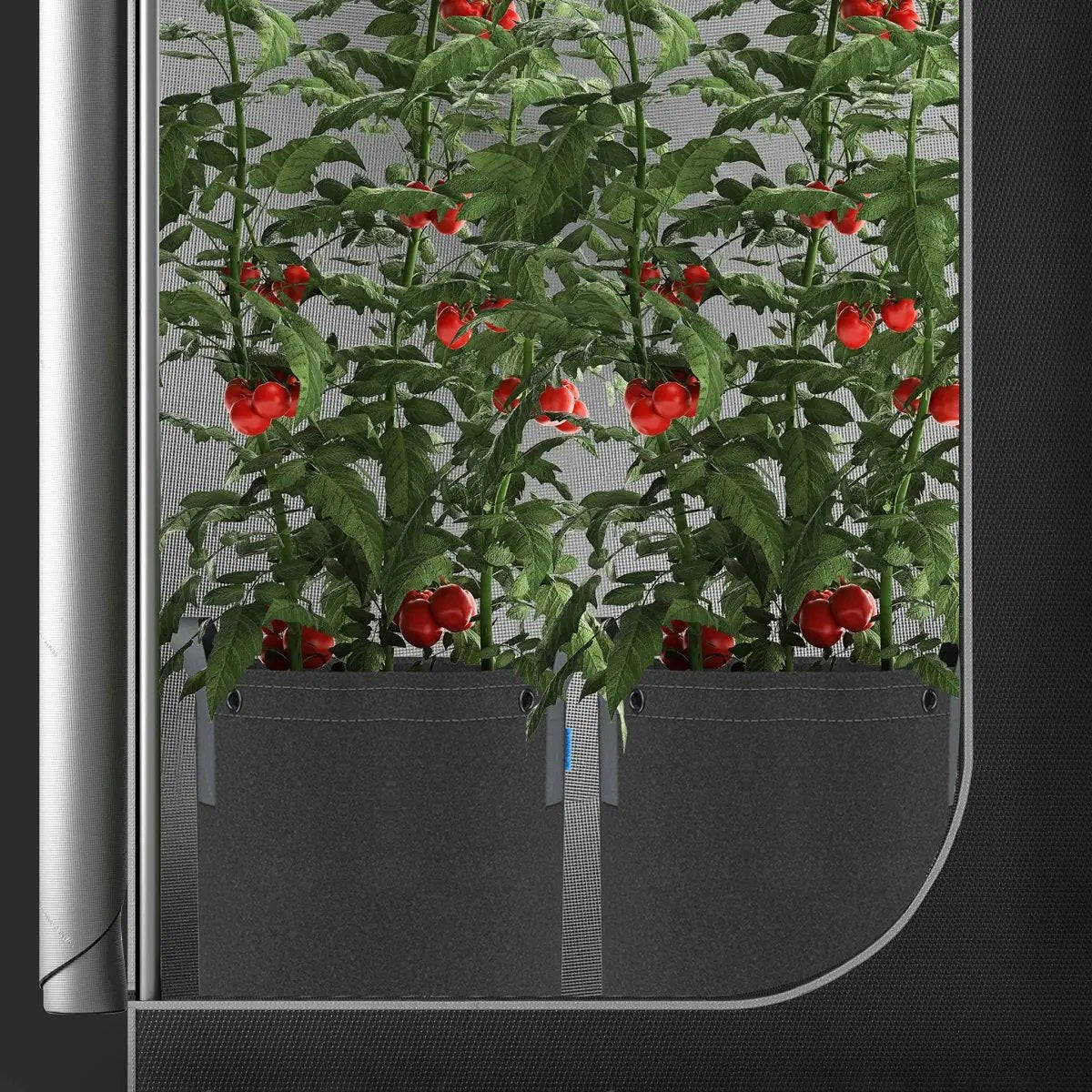 Pot pour plantation en tissus géotextile AC Infinity 11 litres