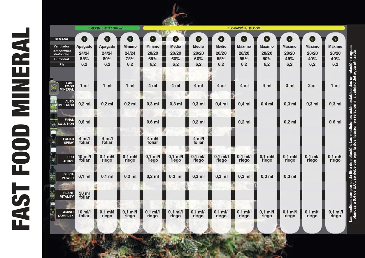 Schema de culture BAC Fast Food Automatique