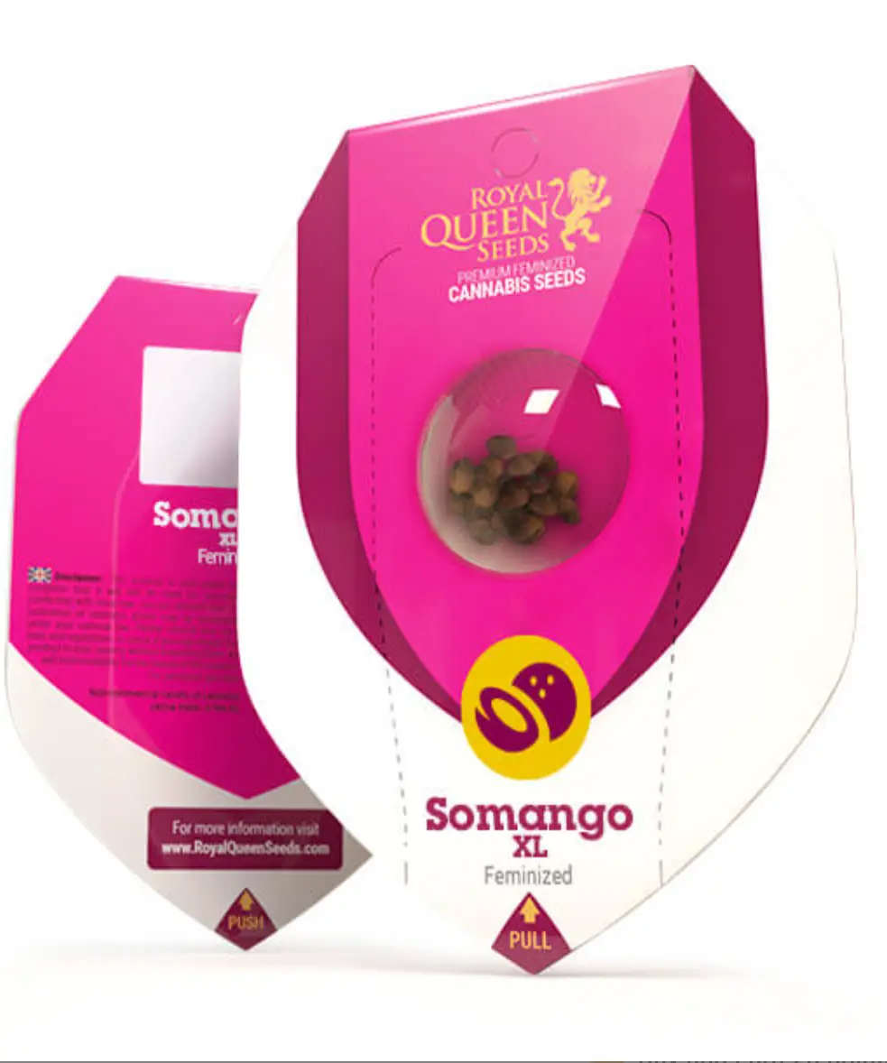 Somango XL Féminisée (Royal Queen Seeds) 3 graines