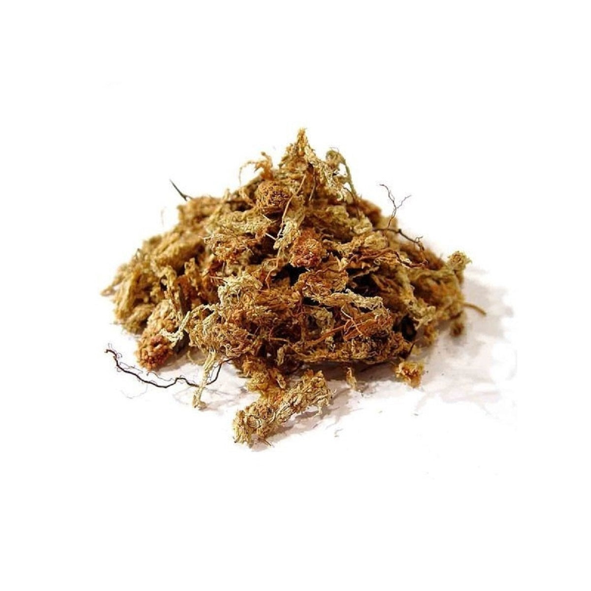 Sphaigne du Chili Chiloe Moss en paquet de 150 grammes