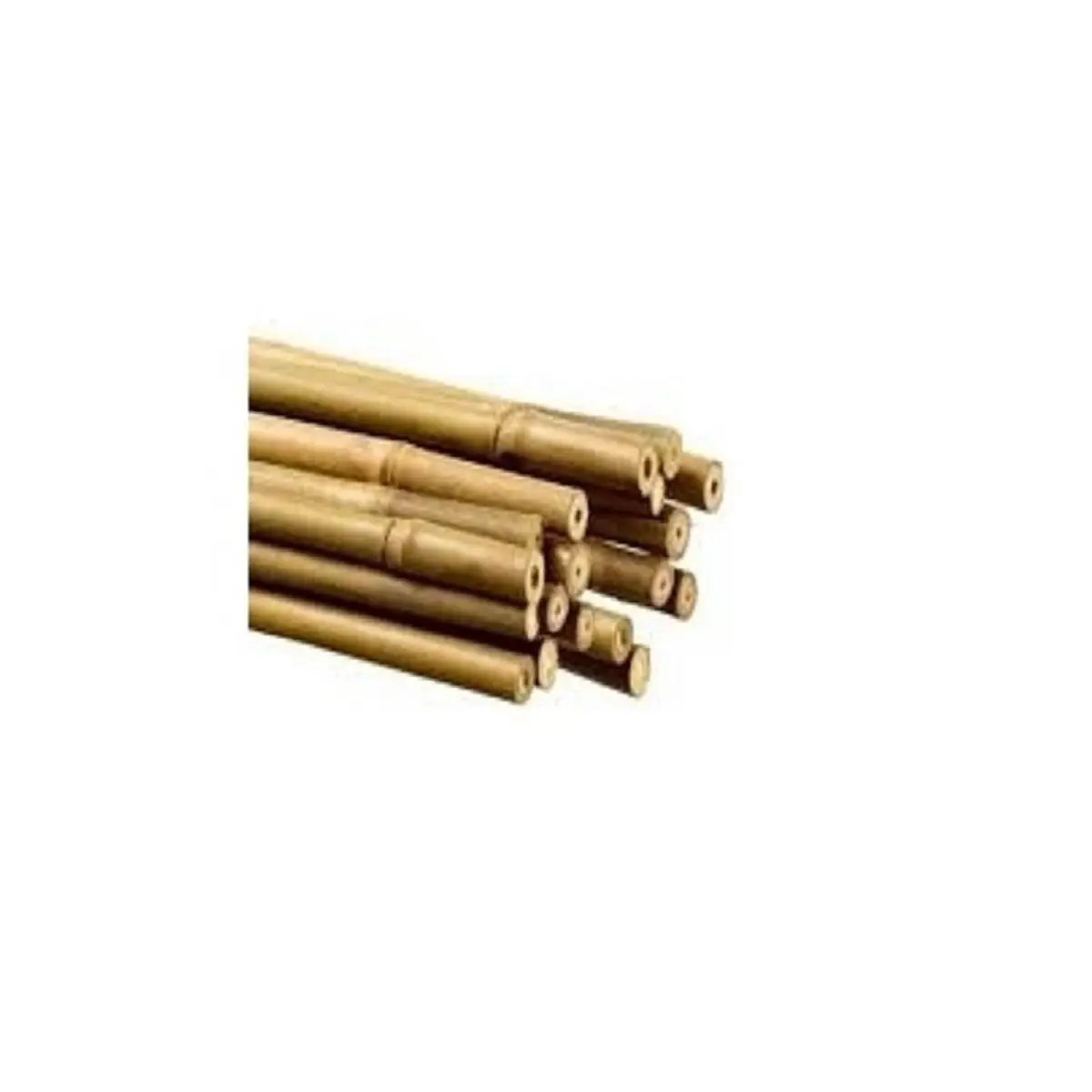 Tuteurs en Bambou 90cm 25 Pcs